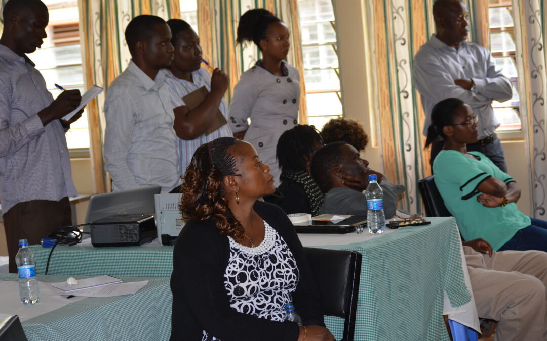 Busia County to host Rice Research Centre