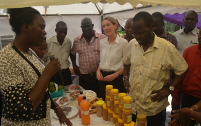 Kisumu Governor embraces mini-farming in the cities