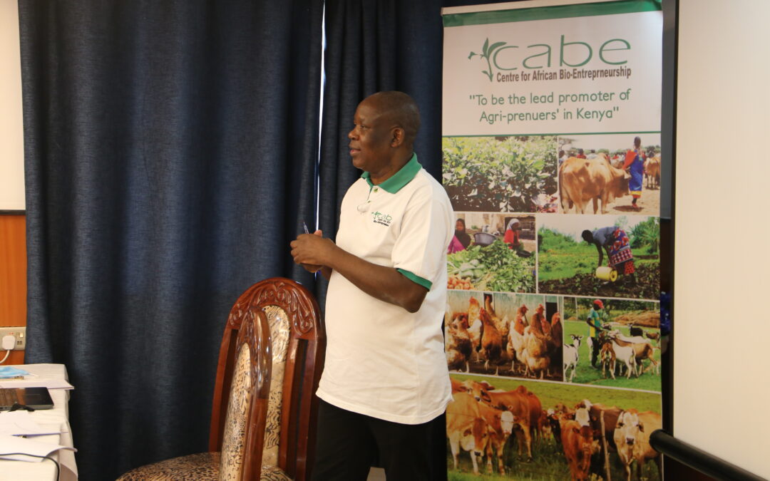 Institutionalizing informed policies, a solution to Kenya’s youth unemployment