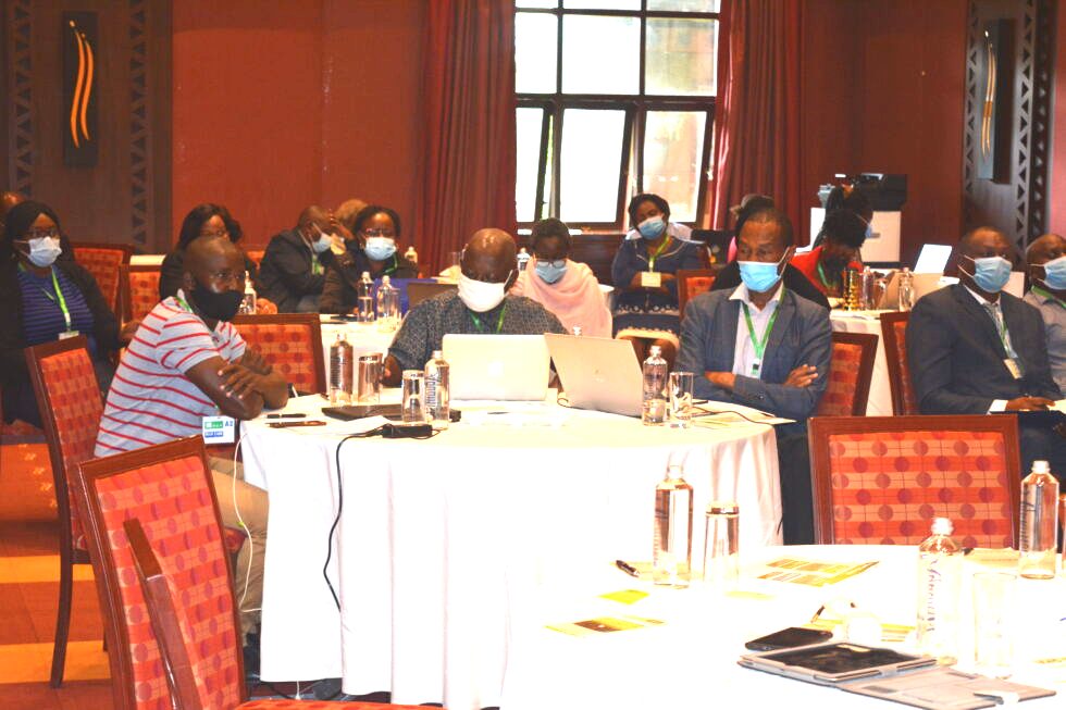 Rice set to improve lives and economies in East Africa