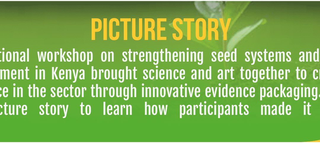 Illustrations and Graphic recordings