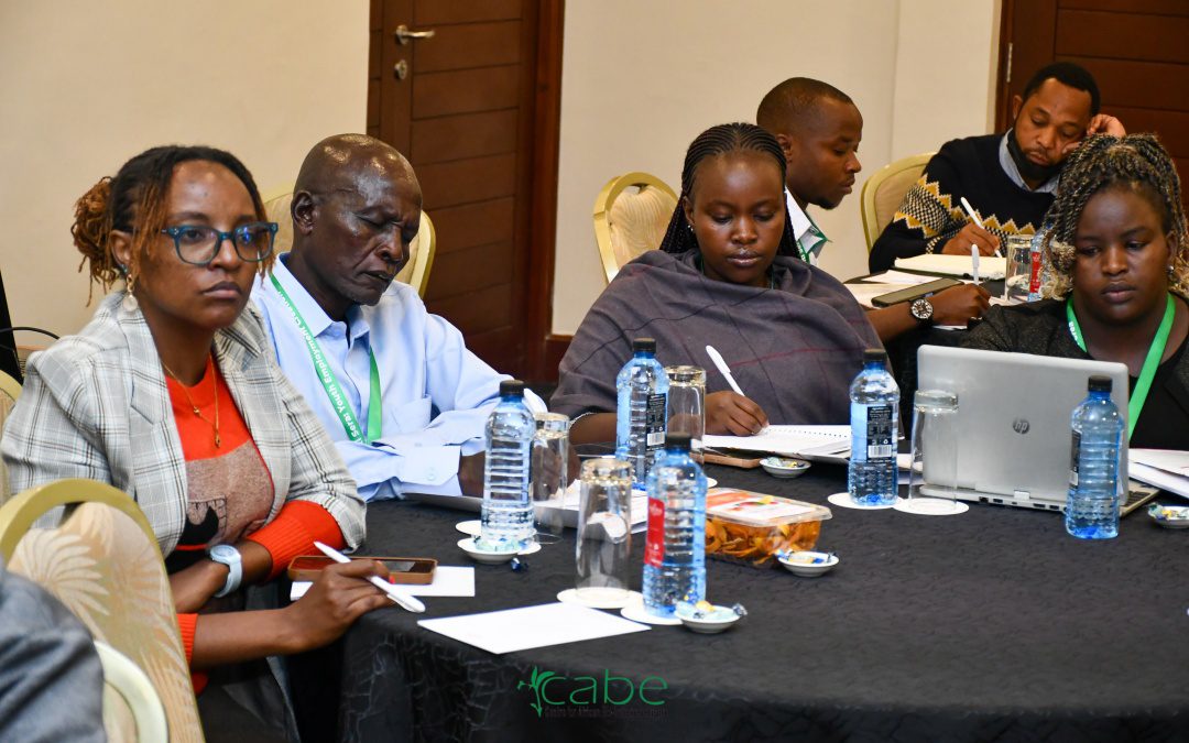 Utafiti Sera: Youth Employment Creation in Agriculture & Agro-Processing convening recap